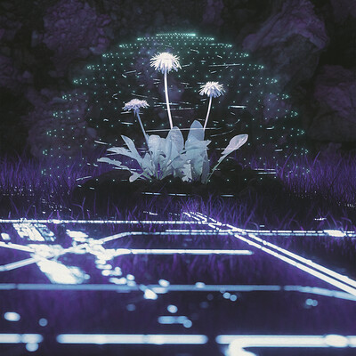 Digital Dandelion