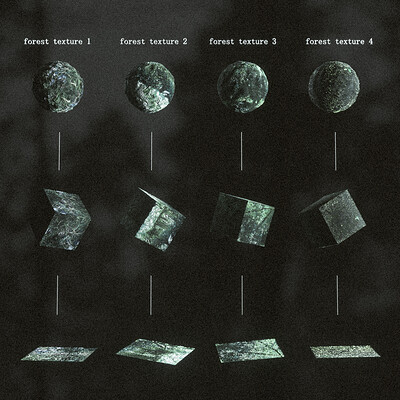 Forest Scans